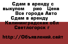 Сдам в аренду с выкупом kia рио › Цена ­ 900 - Все города Авто » Сдам в аренду   . Калининградская обл.,Светлогорск г.